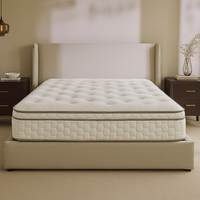 Briq 1000 Pocket Sprung Memory Pillow top Mattress