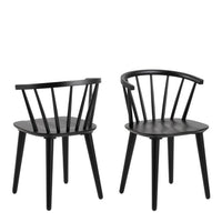 Ida Set of 2 Dining Chairs - Black